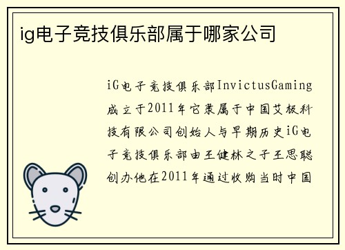 ig电子竞技俱乐部属于哪家公司